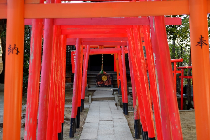 品川神社（一粒萬倍の泉）