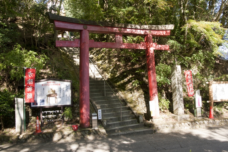 鷲子山上神社（ふくろう神社）